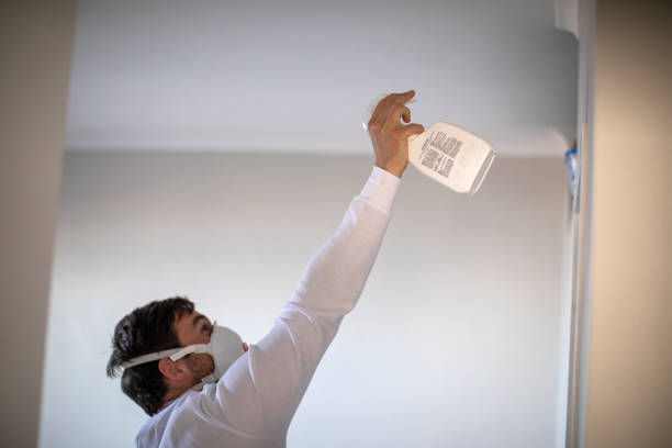 Best Commercial Mold Removal  in Shepherdstown, WV
