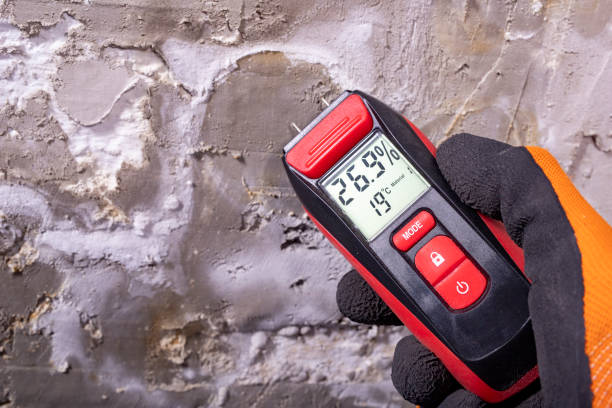 Best Emergency Mold Removal  in Shepherdstown, WV