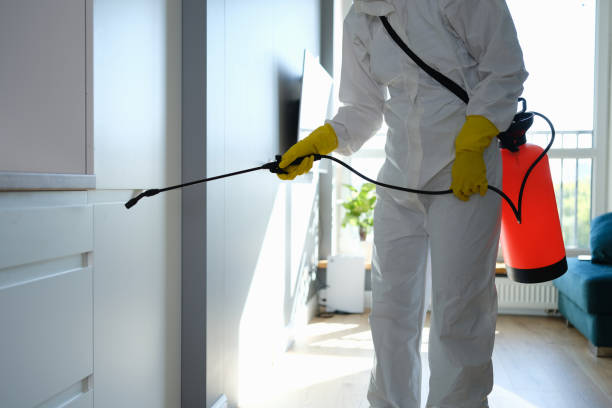 Attic Mold Removal in Shepherdstown, WV