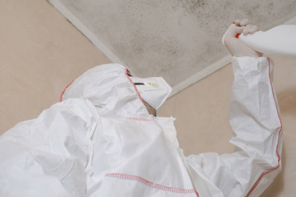 Best Certified Mold Removal  in Shepherdstown, WV